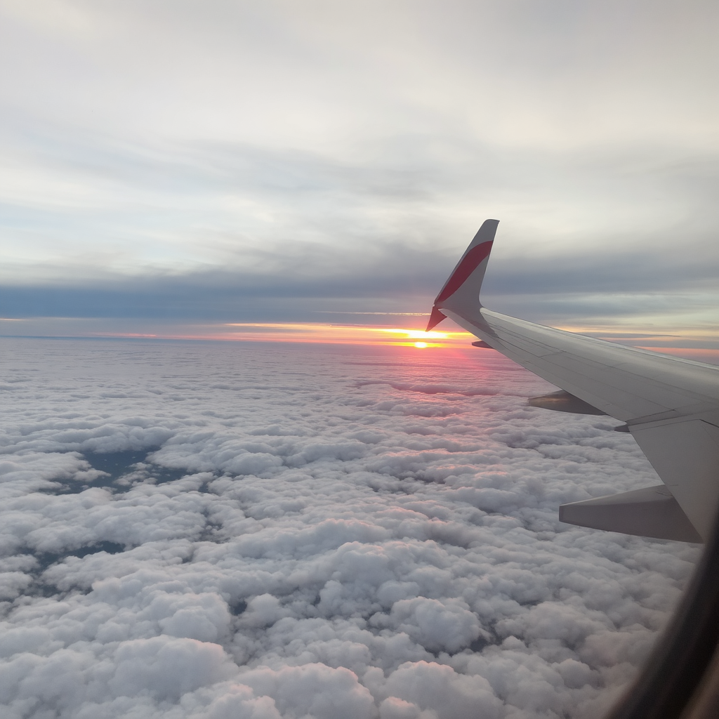 View from an airplane window